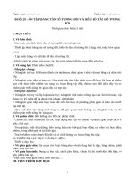 b29 tan so tuong doi va bieu do tan so tuong doi