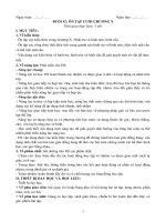 b42 on tap cuoi chuong x