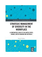 Strategic management of diversity in the workplace