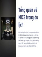 Quản trị du lịch mice