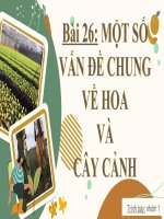Nghề bài 26 một số vấn Đề chung về hoa và cây cảnh