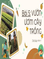 Nghề Bài 5: Vườn ươm cây trồng