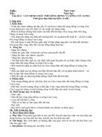 sử 9 kntt chủ đề 2 văn minh châu thổ