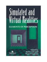 Simulated and virtual realities
