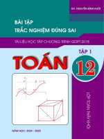 latex tn đúng sai 12