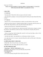 đại số 8 tuần 34