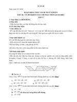 đại số tuần 20