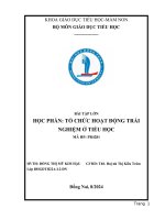 Hoạt động trải nghiệm ở tiểu học