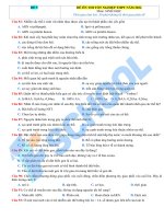 đề 5 ôn thi tnthpt