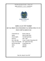 [LUẬN VĂN TỐT NGHIỆP] PHÂN TÍCH TÌNH HÌNH TÀI CHÍNH CÔNG TY CỔ PHẦN CHỨNG KHOÁN SSI
