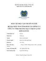 [LUẬN VĂN TỐT NGHIỆP] PHÂN TÍCH TÌNH HÌNH TÀI CHÍNH CỦA CÔNG TY TNHH THƯƠNG MẠI VÀ DỊCH VỤ DẦU KHÍ GLOCOM