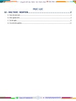 C8 - C3 - Nhi Thuc Newton - Alg.docx