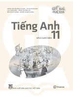 tea tiếng anh 11 global success
