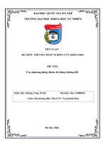 Essay các phương pháp thăm dò dòng không Đổi