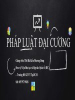 ôn tập chương 3 pháp luật đại cương