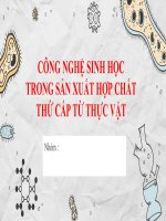 Công Nghệ Sinh Học Trong Sản Xuất Hợp Chất Thứ Cấp Từ Thực Vật.pptx