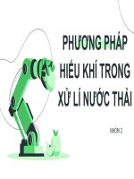 Phương pháp hiếu khí trong xử lý nước thải