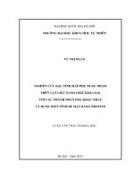 Nghiên cứu Đặc tính hấp phụ dược phẩm trên vật liệu nano oxit kim loại với các thành phần pha khác nhau và Được biến tính bề mặt bằng protein