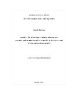 Nghiên cứu tổng hợp và tính chất phụ gia tạo Đặc kháng khuẩn trên cơ sở dẫn xuất cellulose từ phụ phẩm nông nghiệp