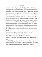 Tác Động khí hậu tới rùa biển