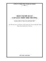 BÁO CÁO ĐỀ XUẤT CẤP GIẤY PHÉP MÔI TRƯỜNG của dự án đầu tư “Dự án sản xuất Golf Clubs”
