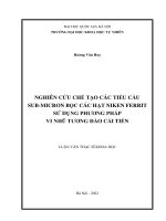 Nghiên cứu chế tạo các tiểu cầu sub micron bọc các hạt niken ferrit sử dụng phương pháp vi nhũ tương Đảo cải tiến