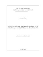 Nghiên cứu biến tính than sinh học tổng hợp từ vỏ trấu Ứng dụng Để xử lý chì trong môi trường nước