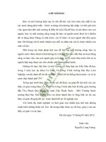 Khóa luận tốt nghiệp: “Thiết kế hệ thống thoát nước và xử lýnước thải thành phố TN”.