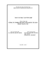 Báo cáo thực tập khoa kinh tế quốc tế Đại học thương mại công ty TNHH thương mại quốc tế giải pháp Toàn Cầu
