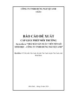 Báo cáo đề xuất cấp Giấy phép môi trường: Nhà máy sản xuất viên nén gỗ sinh học - Công ty TNHH Hưng Nguyệt Anh