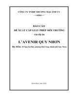 BÁO CÁO ĐỀ XUẤT CẤP GIẤY PHÉP MÔI TRƯỜNG của dự án L’AVENIR QUY NHƠN