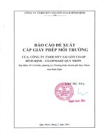 Báo cáo đề xuất cấp giấy phép môi trường Công ty TNHH MTV Sài Gòn Co.op Bình Định – Co.opmart Quy Nhơn
