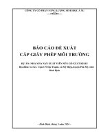 BÁO CÁO ĐỀ XUẤT CẤP GIẤY PHÉP MÔI TRƯỜNG DỰ ÁN: NHÀ MÁY SẢN XUẤT VIÊN NÉN GỖ XUẤT KHẨU Địa điểm: Lô K1- Cụm CN Đại Thạnh, xã Mỹ Hiệp, huyện Phù Mỹ, tỉnh Bình Định