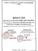 Báo cáo Giấy phép môi trường: Nhà máy chế biến gỗ Phù Cát, công suất 34.500m3 sản phẩm/năm- Công ty TNHH MTV Gỗ Phú Tài Bình Định