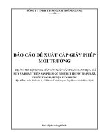 BÁO CÁO ĐỀ XUẤT CẤP GIẤY PHÉP MÔI TRƯỜNG DỰ ÁN: MỞ RỘNG NHÀ MÁY SẢN XUẤT SẢN PHẨM ĐAN NHỰA GIẢ MÂY VÀ HOÀN THIỆN SẢN PHẨM GỖ NỘI THẤT PHƯỚC THÀNH, XÃ PHƯỚC THÀNH, HUYỆN TUY PHƯỚC