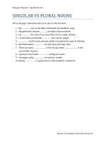 U16Singular Vs Plural Nouns.pdf