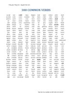 U1.300 Common Verbs.pdf