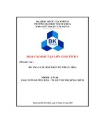 Báo cáo bài tập lớn giải tích 1 Đề tài 4 các bài toán về tối Ưu hóa