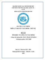 BÀI TIỂU LUẬN NHÓM MÔN LÝ THUYẾT TÀI CHÍNH - TIỀN TỆ ĐỀ TÀI TÌM HIỂU VỀ CÔNG TY TÀI CHÍNH