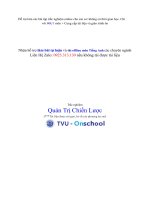 Trắc nghiệm Quản Trị Chiến Lược TVU_Đại Học Trà Vinh