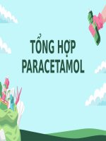 Cơ sở lý thuyết và dây chuyền sản xuất Paracetamol