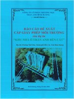 Báo cáo Đề xuất cấp giấy phép môi trường nhà máy pha chế phối trộn sơn, vecni, mực in của công ty tnhh gold phoenix technology tại lô f cụm công nghiệp phú chánh 1