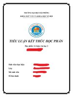 Tiểu luận kết thúc học phần Lý luận văn học 2 - Đại học Hải Phòng