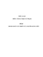 Tiểu luận môn tâm lý học sư phạm  phẩm chất cần thiết của người giảng viên