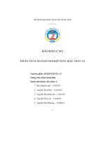 Bài báo cáo phân tích doanh nghiệp may mặc may 10