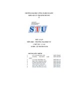 Tiểu luận thương mại Điện tử sàn giao dịch thương mại Điện tử (tmđt) shopee do công ty tnhh shopee