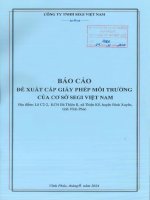 Báo cáo Đề xuất cấp giấy phép môi trường cơ sở segi việt nam