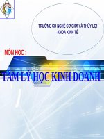 Bài giảng  - TÂM LÝ HỌC KINH DOANH ( combo full slides 6 chương )
