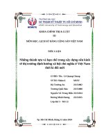 TIỂU LUẬN Những thành tựu và hạn chế trong xây dựng nền kinh tế thị trường định hướng xã hội chủ nghĩa ở Việt Nam thời kì đổi mới
