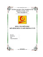 BÁO CÁO MÔN HỌC MÔ HÌNH HÓA VÀ MÔ PHỎNG Ô TÔ